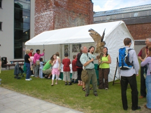Falconry Displays & Events