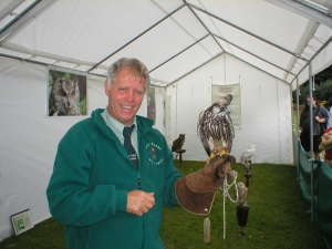 Falconry Displays & Events