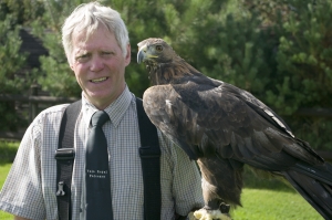 Golden Eagle