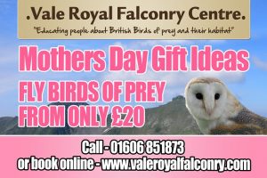 Mothers Day