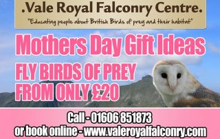 Mothers Day