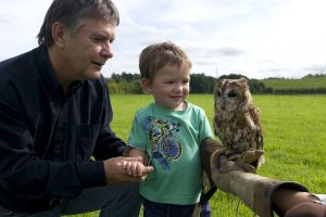 Toddler Falconry Experience