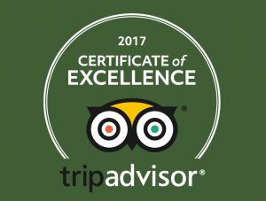 2017 Trip Advisor