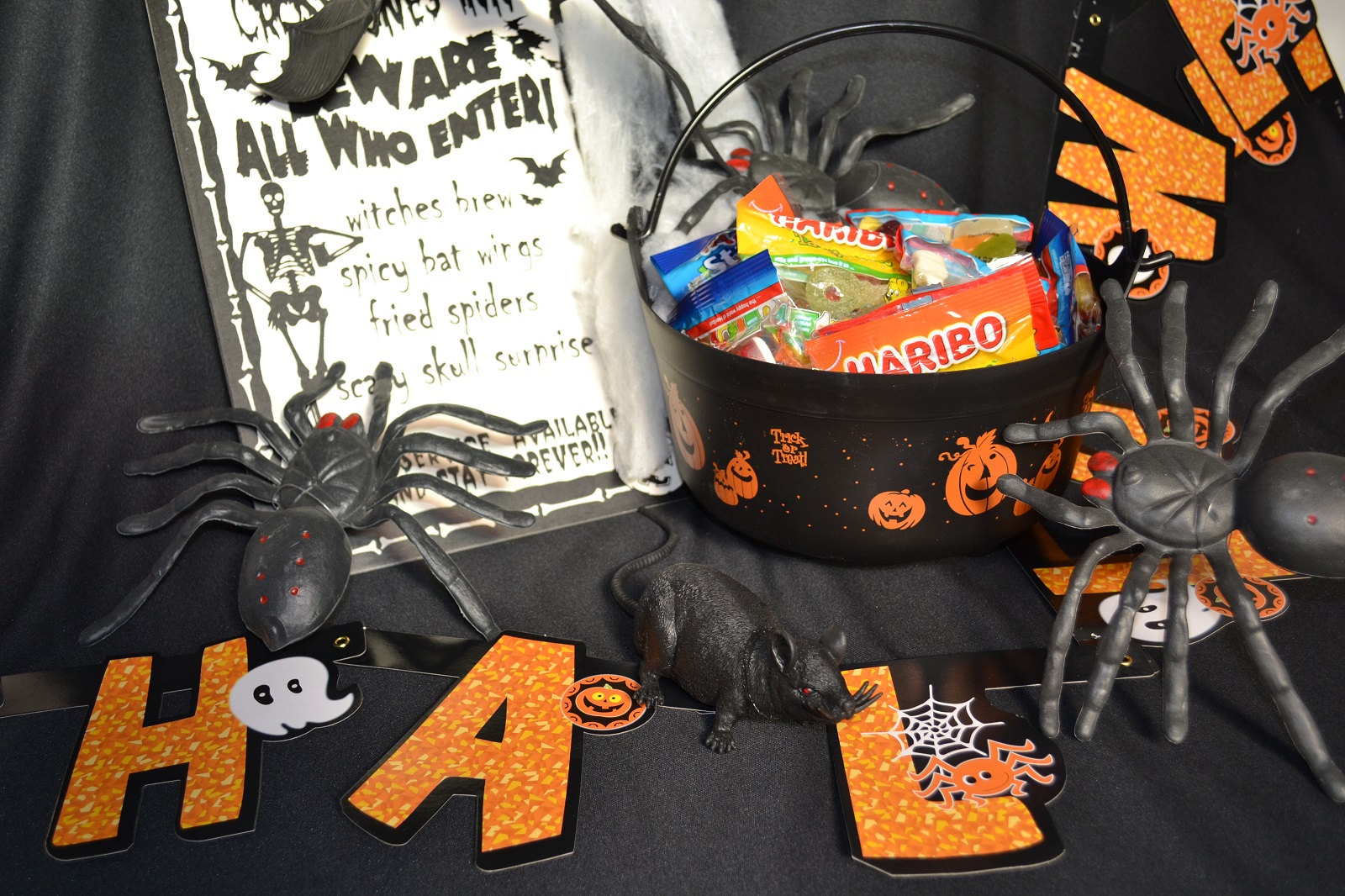 Falconry Halloween Experience