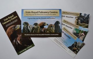 Special Offers
